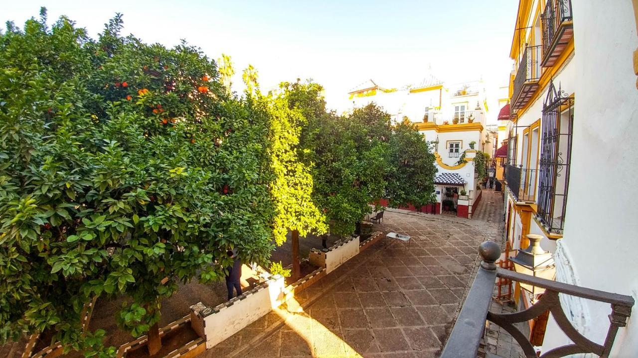 Apartamento Plaza De Dona Elvira 8 Sevilla Dış mekan fotoğraf